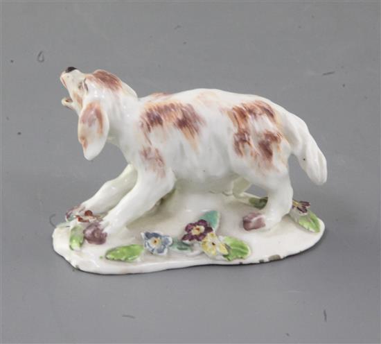 A rare Derby figure of a barking spaniel, c.1760-5, l. 8cm, minor losses